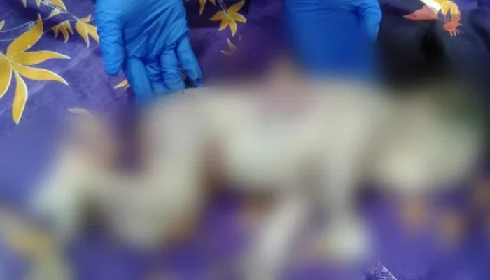 Bayi Dibuang di Kebun Teh