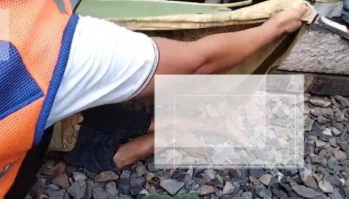 Buang Sampah, Tewas Disambar Kereta Api