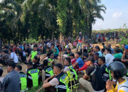 Karyawan PT ANJA & PT SSL Bentrok, 12 Orang Luka-luka