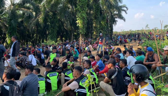 Karyawan PT ANJA & PT SSL Bentrok, 12 Orang Luka-luka