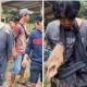 Pelaku pencurian hanya bisa tertunduk menahan sakit dan malu usai dihakimi warga dan diarak sambil menggendong anak babi.