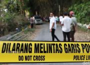 Adik Habisi Kakak Gara-Gara Kayu