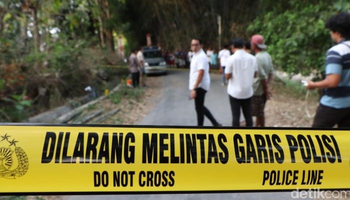 Adik Habisi Kakak Gara-Gara Kayu