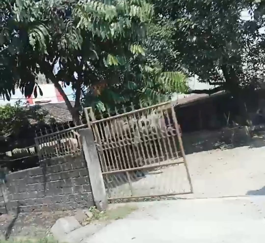 Aju Raja Judi Binjai Juga Buka di Brahrang, Pasar VII Tandam Masih Beroperasi