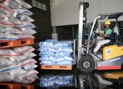 Bapanas Tetapkan HPP Gabah di Tingkat Petani Rp6.000 per Kg