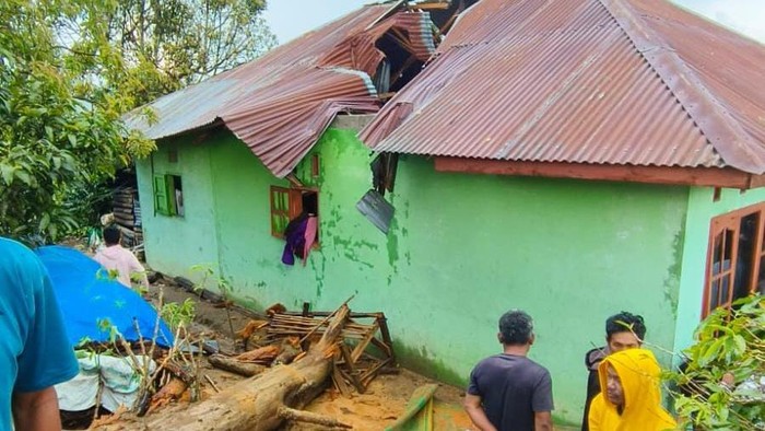 Pohon Pinus Tumbang di Taput, 1 Orang Tewas 8 Luka