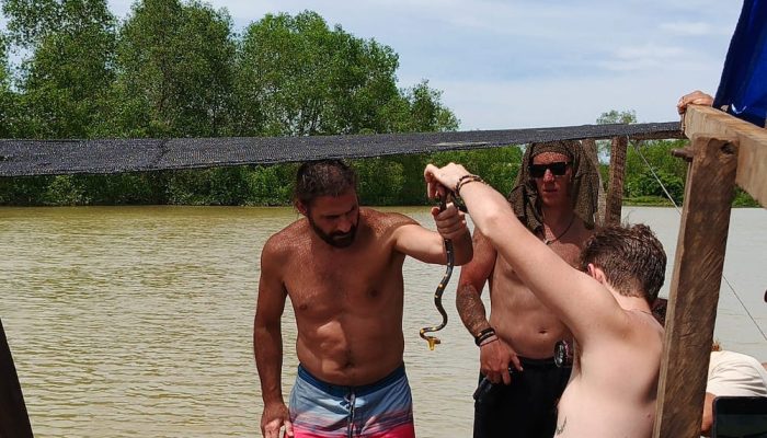 Peneliti Asing Temui Berbagai Jenis Ular di Langkat, Sayangnya Hutan Sudah Ditebang