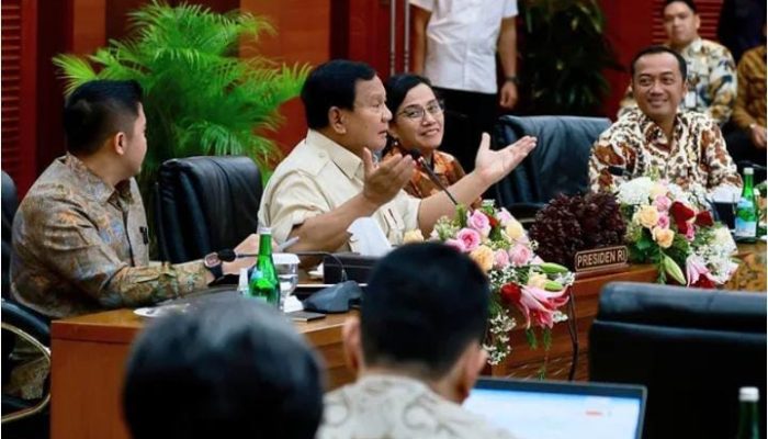 Presiden Prabowo Umumkan Kenaikan PPn 12 Persen,  Apa Saja Contoh Barang Mewahnya?