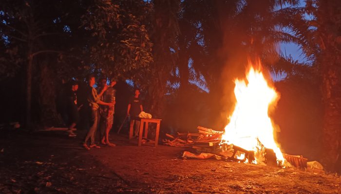 Polisi Bakar Gubuk Sarang Narkoba di Kuala, Tersangka Bersama Barang Bukti Diamankan