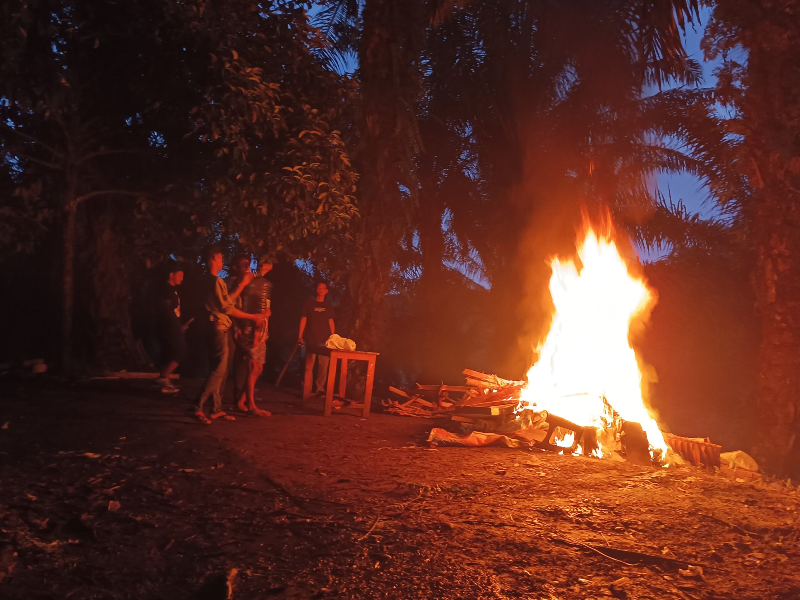 Polisi Bakar Gubuk Sarang Narkoba di Kuala
