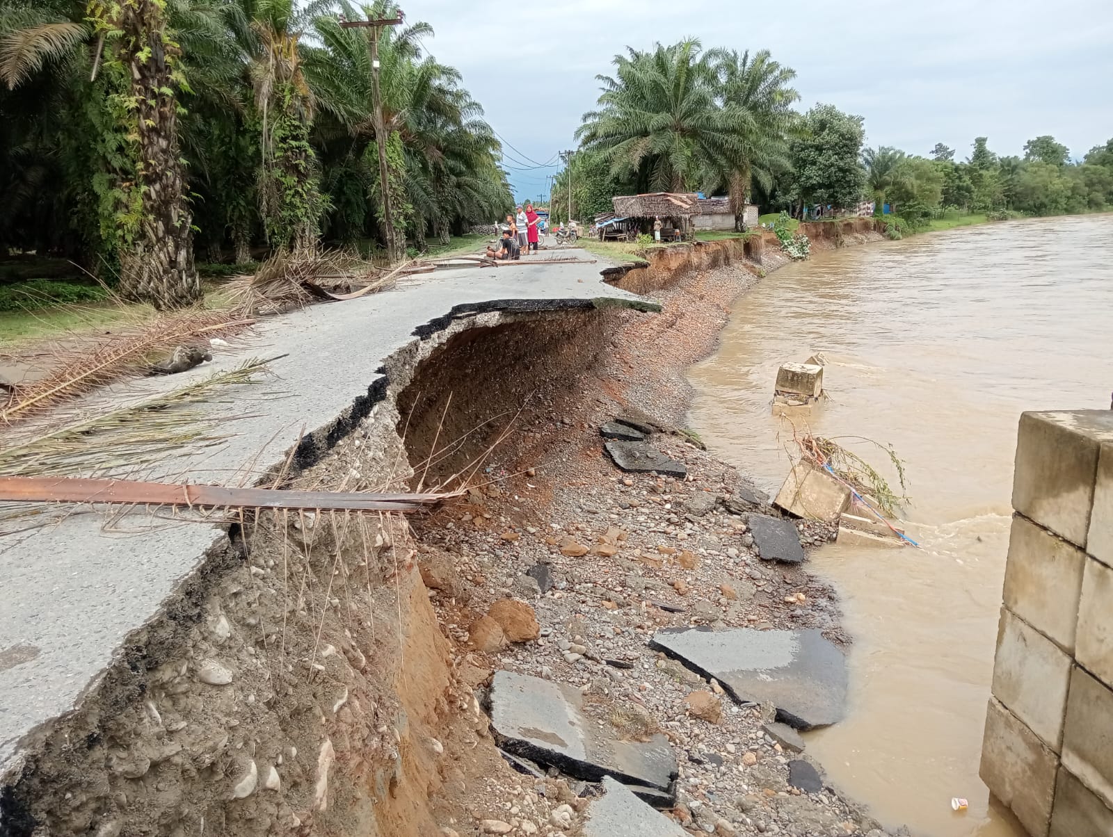 Jalan Menuju Destinasi Wisata Tangkahan Alami Longsor 