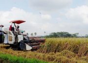 Petani di Langkat Resahkan Pungli Penyaluran Alsintan