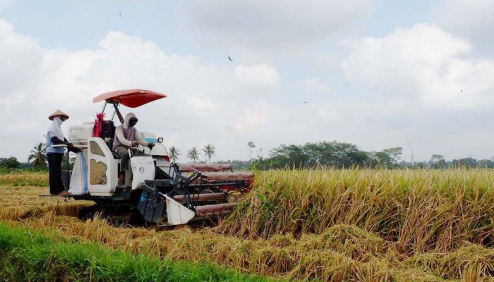 Petani di Langkat Resahkan Pungli Penyaluran Alsintan