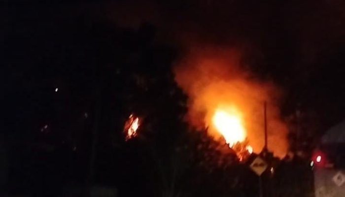 Penjelasan Kasat Pol PP Soal Viral Kebakaran Lahan di Besitang