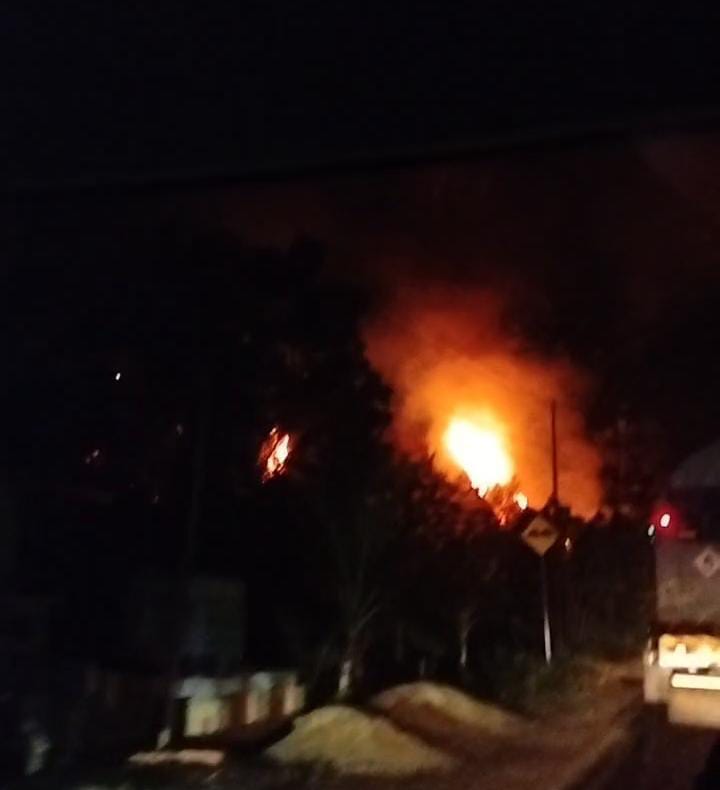 Kebakaran lahan di Besitang