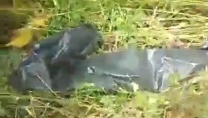 Geger Penemuan Mayat Warga Aceh di Gebang