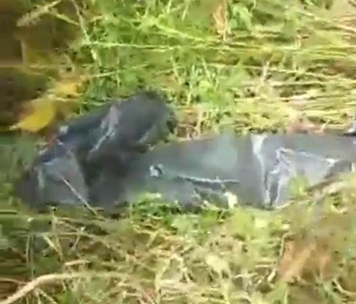 Penemuan Mayat Warga Aceh di Gebang