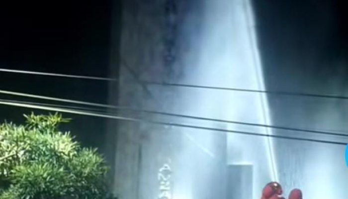 Tim Damkar dan DLH Bersihkan Sarang Lebah di Tugu Tengku Amir Hamzah Stabat