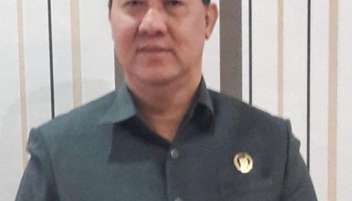 Anggota DPRD Minta Dishub Lakukan Razia di Wampu, Pemkab Langkat Perbaiki Jalan Rusak Merata