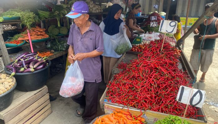 Harga Kebutuhan Pokok Naik, Sumut Berpotensi Deflasi maupun Inflasi