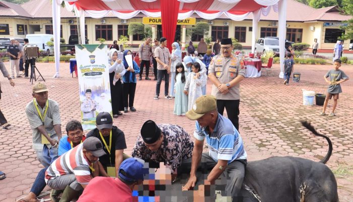 Kurban Idul Adha, Kapolres Langkat Serahkan 12 Ekor Sapi dan 5 Ekor Kambing