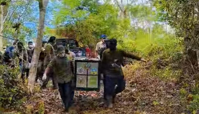 Nama Tiga Siamang yang Dilepas ke Hutan Taman Nasional Gunung Leuser