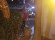 Normalisasi Eksploitasi Ekonomi Anak di Kota Binjai Meningkat, HIMMAH Serukan Tindakan Nyata