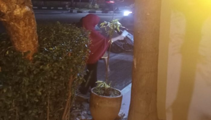 Normalisasi Eksploitasi Ekonomi Anak di Kota Binjai Meningkat, HIMMAH Serukan Tindakan Nyata