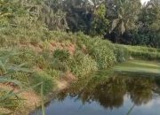 Warga Keluhkan Limbah Pabrik Kelapa Sawit PT GEP, DLH Diminta Bertindak