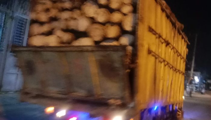 Beroperasi Malam Hari, APH Diminta Cek Izin Usaha Beli Kayu dan Surat-Surat Kendaraan Truk