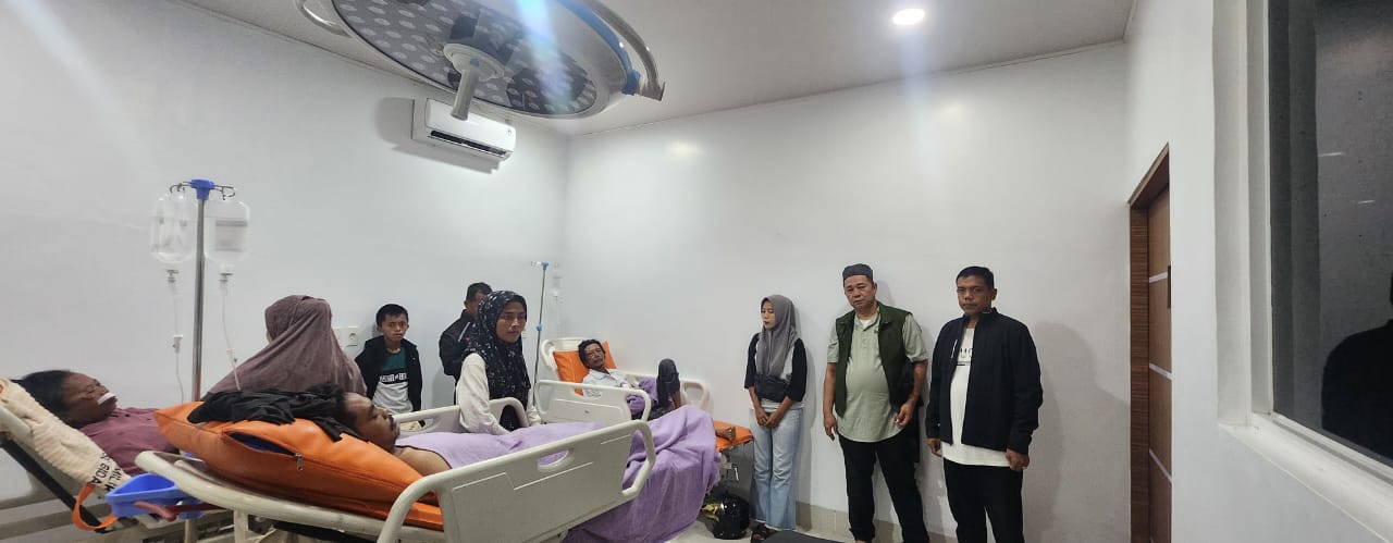 Pohon Tumbang di Langkat