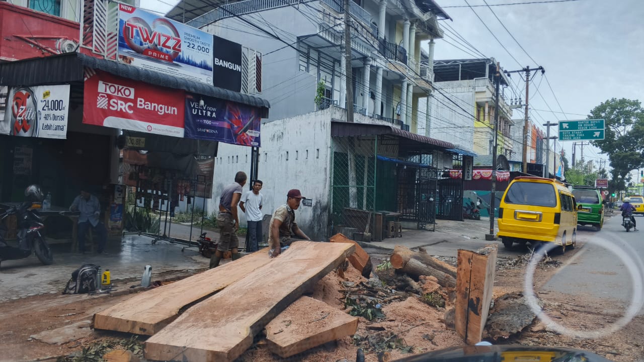 Pohon Tumbang di Titi Penceng