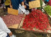 Selisih Harga Terlalu Jauh dari Jambi, Tren Kenaikan Harga Cabai Merah di Sumut Bisa Terhenti