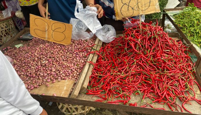 Harga Cabai Naik Lagi di Sumut, Daya Beli Rendah, Alarm Bahaya 