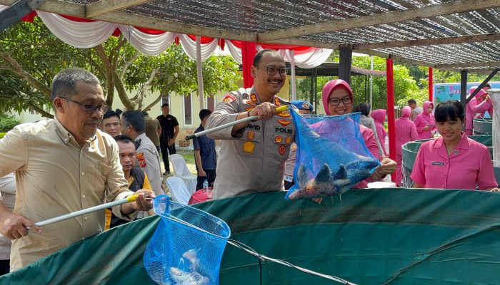 Polres Langkat Peduli Kebutuhan Gizi Masyarakat, Panen Ikan Bioflok