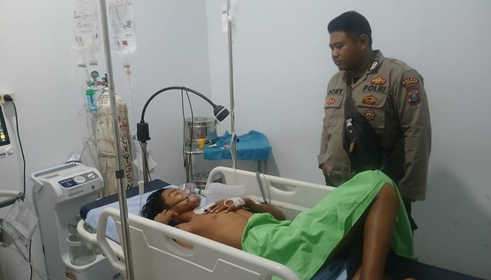 Warga Pangkalan Brandan Alami Luka Serius Diserang Seekor Monyet Liar