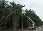 Wisatawan Keluhkan Lampu Penerangan Menuju Tangkahan, Dishub Prioritaskan Perbaikan Walaupun Jalan Provinsi