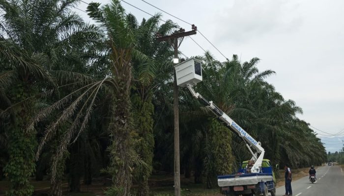 Wisatawan Keluhkan Lampu Penerangan Menuju Tangkahan, Dishub Prioritaskan Perbaikan Walaupun Jalan Provinsi