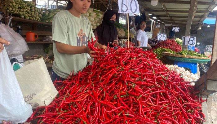 Harga Cabai di Sumut Turun Jadi 60 Ribu, Tanpa Intervensi Sekalipun Tetap Akan Turun
