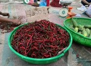 Intervensi Tak Bermanfaat untuk Petani di Sumut, Harga Cabai Kualitas Buruk Harga 7 Ribu