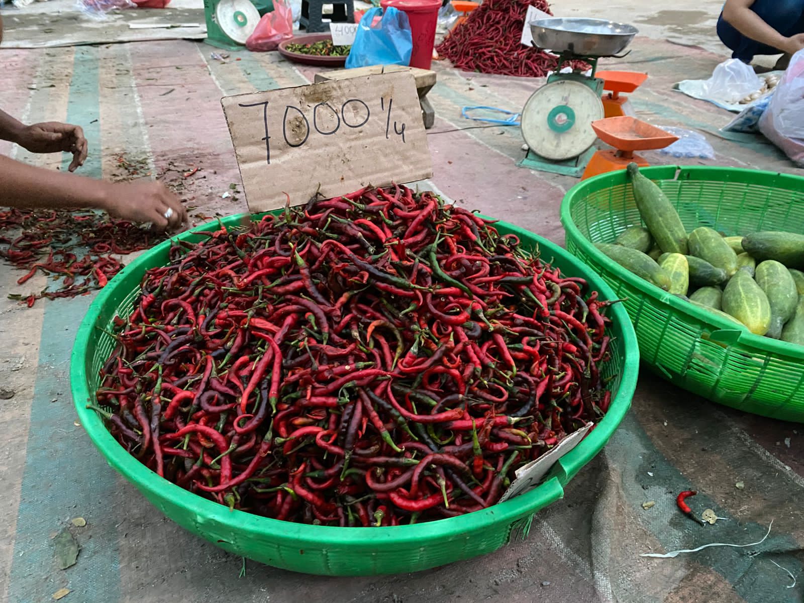 Harga cabai buruk di Sumut