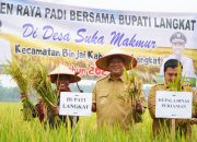 Bupati Langkat Bersama Petani Turun Kesawah