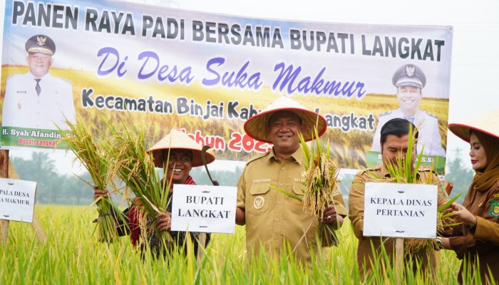 Bupati Langkat Bersama Petani Turun Kesawah