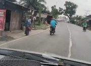 Sejumlah Warga Besitang Minta-Minta di Jalan Pasca Banjir, Bupati Langkat Jadi Sorotan