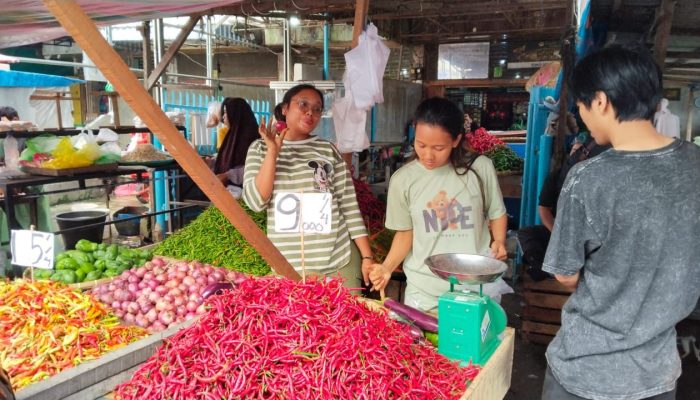 Cabai Merah Tembus Rp35 Ribu/Kg di Sumut, Harga Ayam Turun Tajam