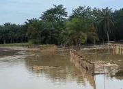 Debit Sungai Batang Serang Naik, Warga Padang Tualang Diminta Tetap Waspada