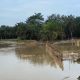 Debit Sungai Batang Serang Naik