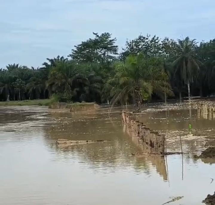 Debit Sungai Batang Serang Naik
