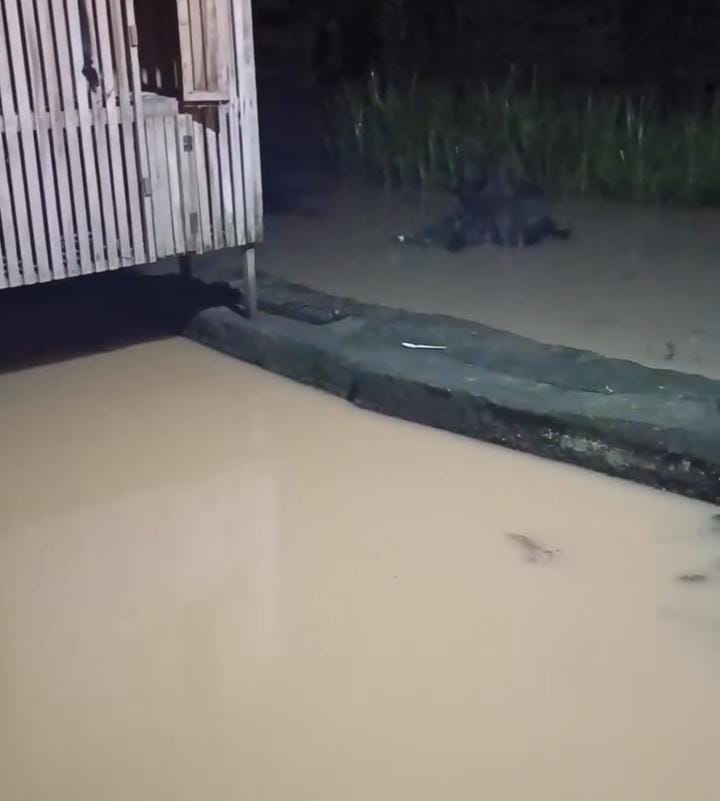 Hujan Deras Banjir Langkat