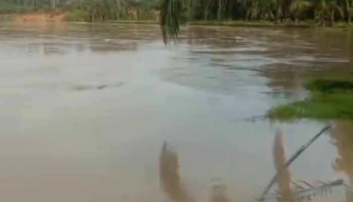 Hujan Deras, Sungai Batang Serangan Meluap dan Ancam Permukiman Warga